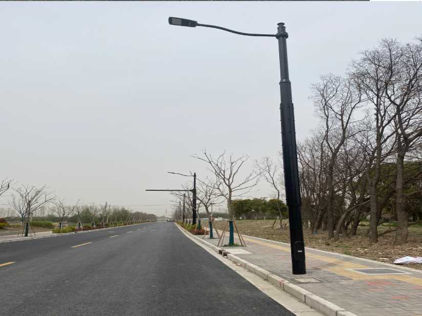 蓬安县上海综合杆 太阳能路灯工程